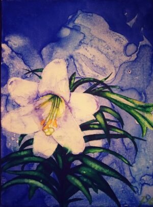 Easter Lily