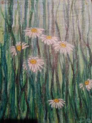 Daisies