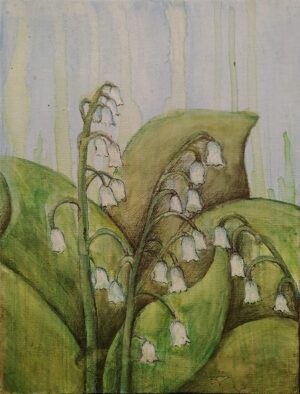 Lily of the Valley