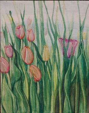 Tulips